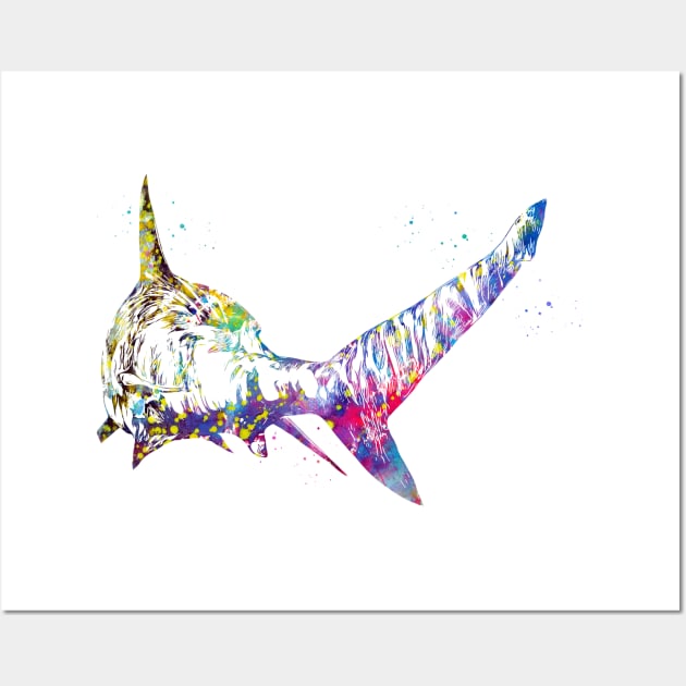 Shark Wall Art by erzebeth